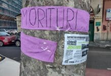 Genova, flash mob contro lo Skytram per salvare gli alberi alberi corso Galliera Genova, morituri Skytram