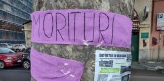 Genova, flash mob contro lo Skytram per salvare gli alberi alberi corso Galliera Genova, morituri Skytram