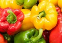 Genova, tenta di portare droga al figlio in carcere nascondendola nei peperoni, arrestata Peperoni