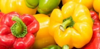 Genova, tenta di portare droga al figlio in carcere nascondendola nei peperoni, arrestata Peperoni