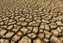 Pesca e Agricoltura, Coldiretti: a rischio 1 azienda su tre