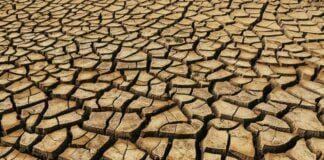 Allarme siccità, Confagricoltura Liguria: “Situazione di emergenza estrema”