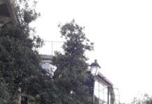 Genova, crolla un albero sulla passeggiata di Nervi