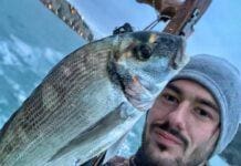 La Spezia, sub morto al largo del Tino, autopsia per Maurizio Zanello Maurizio Zanello