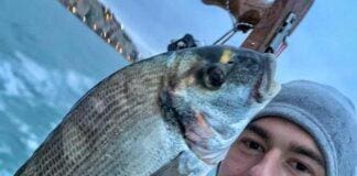 La Spezia, sub morto al largo del Tino, autopsia per Maurizio Zanello Maurizio Zanello