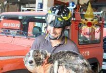 Cane in difficoltà salvato dai Vigili del Fuoco a Levanto