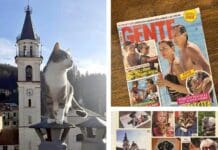 Il gatto più bello d’Italia vive a Torriglia Bibi gatto più bello d'Italia Gente