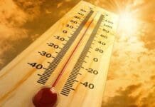caldo termometro