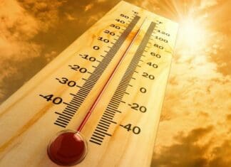 caldo termometro