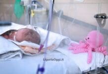 Genova, al Gaslini i polpetti in lana del Gruppo Amici di San Fruttuoso polpetti lana Gaslini