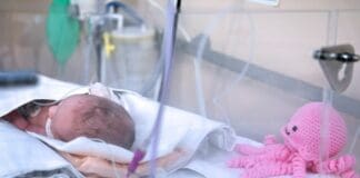 Genova, al Gaslini i polpetti in lana del Gruppo Amici di San Fruttuoso polpetti lana Gaslini