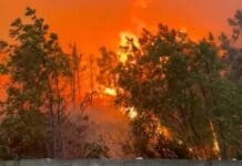 Sanremo, spento l’incendio boschivo a San Romolo Incendio Prà, Cep Genova