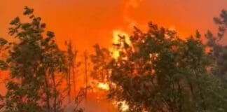 Arenzano, fiamme al passo della Gava Incendio Prà, Cep Genova