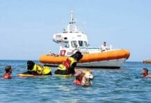 Genova, si tuffano in mare ma non riescono a tornare a riva, salvati dai cani bagnino cani bagnino