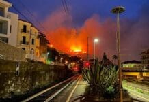 Incendio ad Alassio, una taglia per il piromane dopo i danni a due abitazioni Alassio incendio 21 settembre 2022