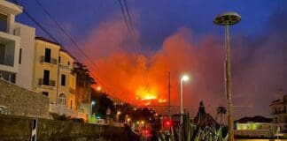 Incendio ad Alassio, una taglia per il piromane dopo i danni a due abitazioni Alassio incendio 21 settembre 2022