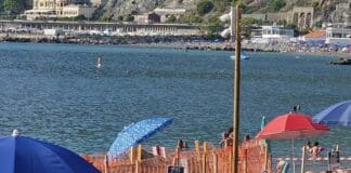 Nido di tartaruga a Levanto, la schiusa in diretta con la web-cam, ecco cosa fare Levanto nido tartaruga Caretta webcam