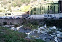 Genova, sversamento nel Varenna a Pegli, indagini in corso Varenna inquinato Pegli Genova