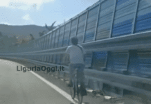 Sestri Levante, ancora un ciclista in Autostrada, allarme sulla A12 ciclista autostrada A12 Sestri levante