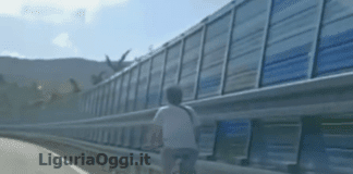 Sestri Levante, ancora un ciclista in Autostrada, allarme sulla A12 ciclista autostrada A12 Sestri levante