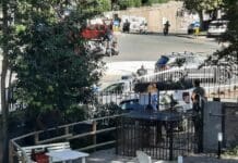 Genova, gabbie trappola per cinghiali in azione in via Piave cinghiali gabbie via piave