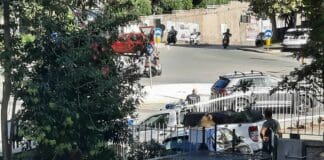 Genova, gabbie trappola per cinghiali in azione in via Piave cinghiali gabbie via piave