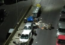 Genova, cinghiali ribaltano bidoni in mezzo alla strada in via Donaver cinghiali via Donaver