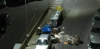 Genova, cinghiali ribaltano bidoni in mezzo alla strada in via Donaver cinghiali via Donaver