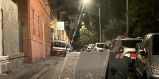 Genova, ancora emergenza cinghiali, bidoni rovesciati ad Oregina cinghiali oregina bidone ribaltato