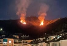 Genova, fiamme sul Monte Moro, distrutti gli alberi appena piantatati incendio Monte Moro Genova