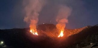 Genova, fiamme sul Monte Moro, distrutti gli alberi appena piantatati incendio Monte Moro Genova
