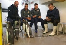 Genova, la nazionale di Rugby all’Acquario per il battesimo dei pinguini Nazionale Rugby pinguini acquario