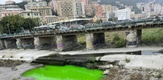 Genova, Bisagno che si tinge di verde intenso, ma è solo un colorante Bisagno colorato verde