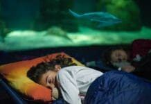 Genova, a nanna con gli squali all’Acquario Notte con gli squali Genova Acquario