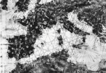 Le Isole Canarie in un planisfero medioevale genovese Planisfero medioevale genovese Giovanni da Carignano