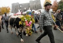 Transumanza, a Santo Stefano d’Aveto il ritorno delle mandrie a valle Transumanza Santo Stefano d'Aveto