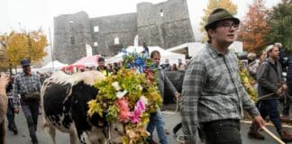 Transumanza in Val d’Aveto, ecco come partecipare Transumanza Santo Stefano d'Aveto