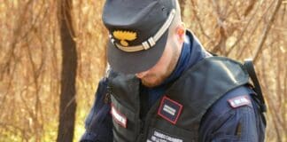 Serra Riccò, fuoristrada nel torrente secca, ambientalisti allertano carabinieri Carabinieri Forestali