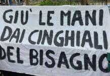 Genova, ambientalisti protestano a De Ferrari contro le uccisioni dei cinghiali Cinghiali Bisagno, protesta