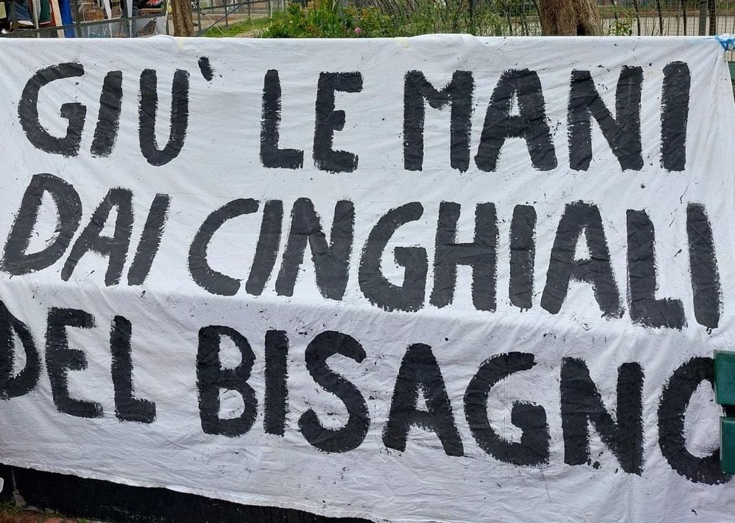 Cinghiali Bisagno, protesta