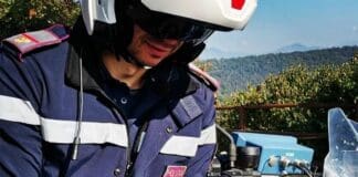 Genova, agenti di polizia salvano un piccolo riccio riccio salvato polizia Genova