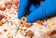 Salute, creato sensore commestibile che controllerà per noi la sicurezza degli alimenti sensore alimenti IIT