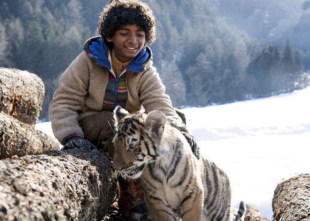 Il ragazzo e la tigre film