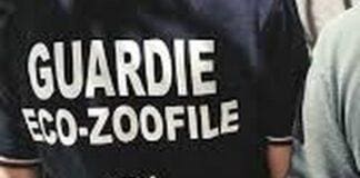 Genova, non cura il cane morente, denunciato per maltrattamenti Oipa Guardie zoofile