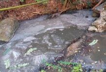 Genova, sversamento fognario nel rio Sant’Antonio a Pegli Pegli rio Sant'Antonio fogna