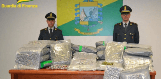 Savona, nasconde 80 chili di droga nel camion, arrestato Savona sequestro droga Guardia Finanza
