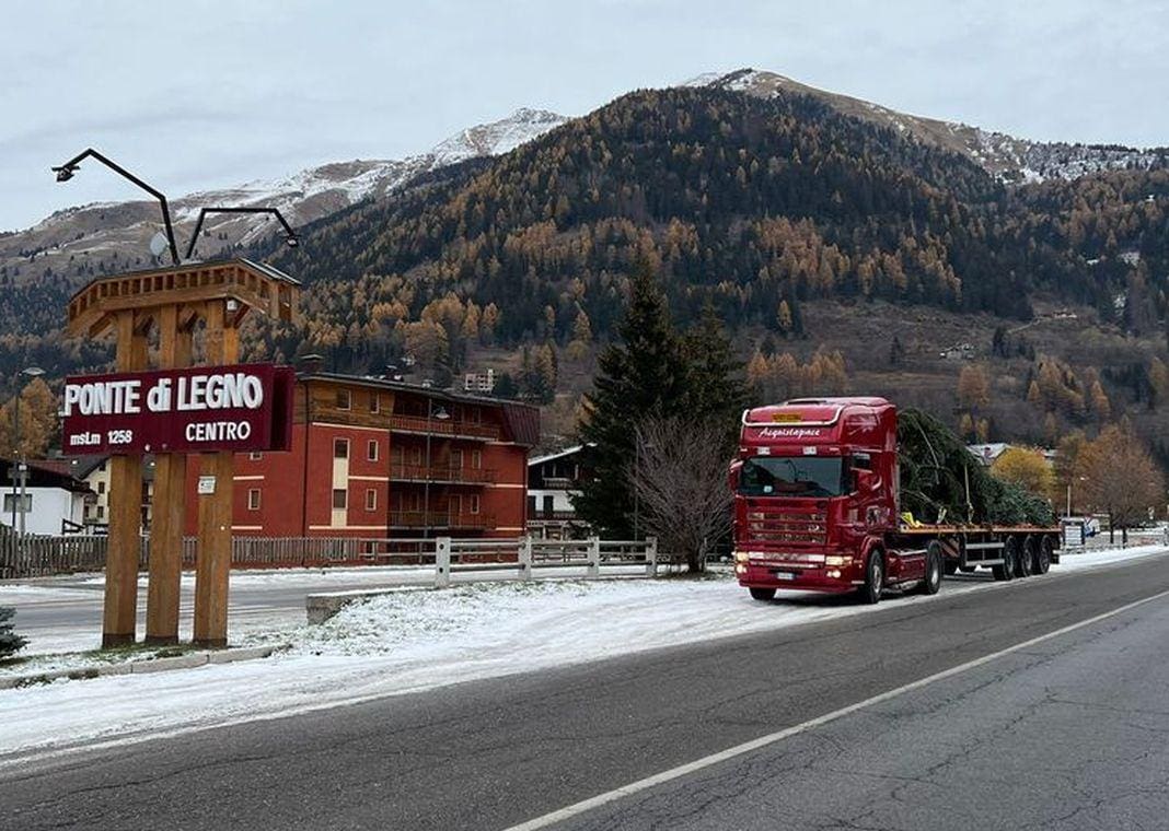 Natale Genova albero Ponte di Legno