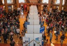 Msc Crociere pronta ad assumere 750 persone, selezioni anche a Genova Career day Genova Orientamenti