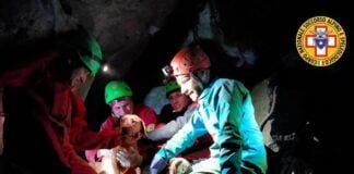 Plodio, salvato un cane da caccia caduto in una tana di Tasso Laika cane salvato Plodio