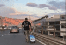 Genova, pedone sulla Sopraelevata per un’ora Pedoni in sopraelevata